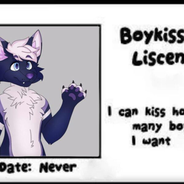 Boykisser License