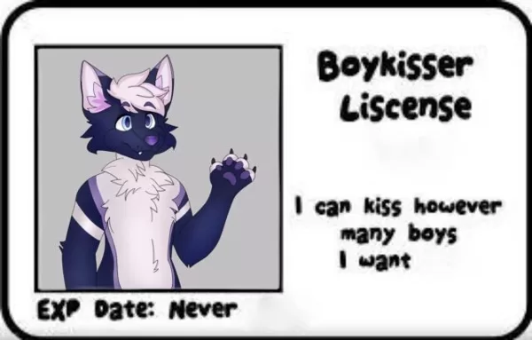 Boykisser License
